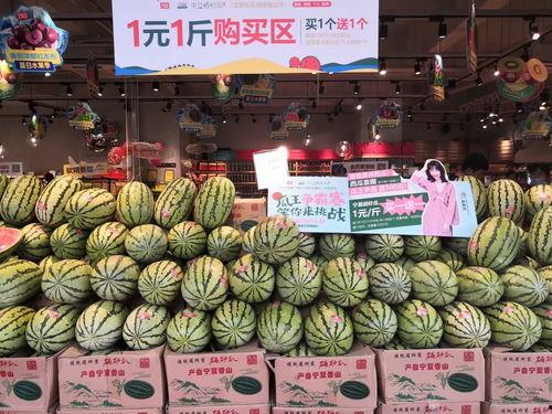 吃瓜网官网免费观看 吃瓜爆料短剧吃瓜爆料大赛每日聚集地,免费观看吃瓜爆料短剧，揭秘吃瓜爆料大赛每日精彩瞬间